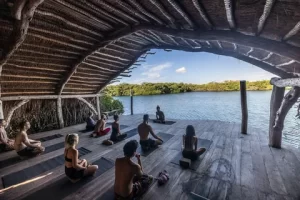 The Future of Wellness Tourism: Why Destination Resorts are Flocking to Delhi Creators